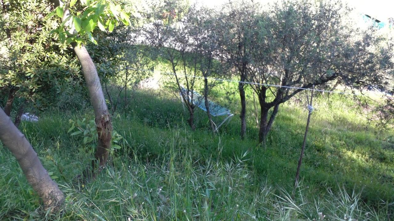 Cinque Terre Tra Il Filo Di Arianna Bed & Breakfast ริคคอ เดล โกลโฟ ดิ สเปเซีย ภายนอก รูปภาพ